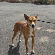 COOPER Image 8